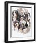 Bernese Mountain Dog with Ghost-Barbara Keith-Framed Giclee Print