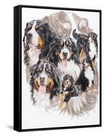 Bernese Mountain Dog with Ghost-Barbara Keith-Framed Stretched Canvas