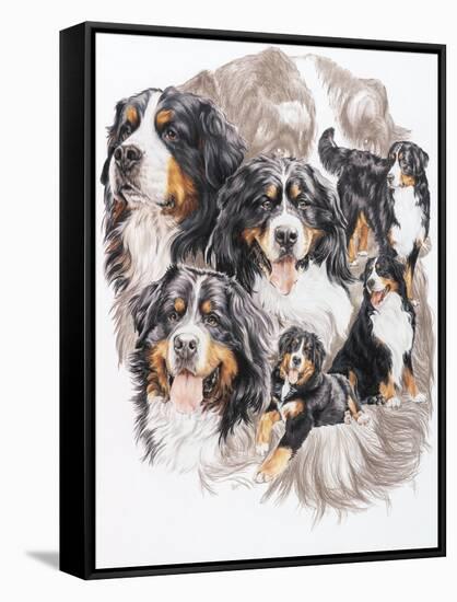 Bernese Mountain Dog with Ghost-Barbara Keith-Framed Stretched Canvas