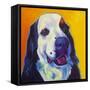 Bernese Mountain Dog - Zeke 2-Dawgart-Framed Stretched Canvas