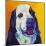 Bernese Mountain Dog - Zeke 2-Dawgart-Mounted Giclee Print