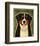 Bernese Mountain Dog-John W^ Golden-Framed Art Print