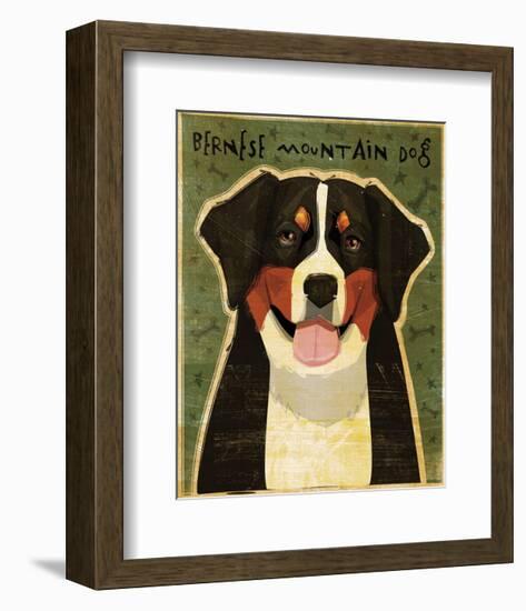 Bernese Mountain Dog-John W^ Golden-Framed Art Print