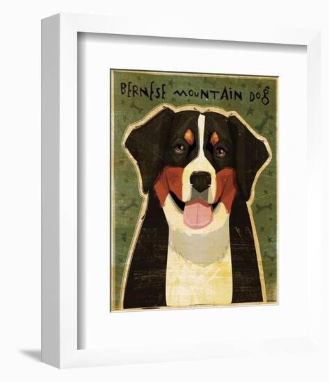 Bernese Mountain Dog-John W^ Golden-Framed Art Print