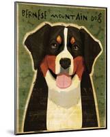 Bernese Mountain Dog-John W^ Golden-Mounted Art Print