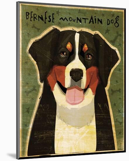 Bernese Mountain Dog-John W^ Golden-Mounted Art Print