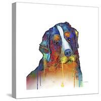 Bernese Mountain Dog-Marlene Watson-Stretched Canvas
