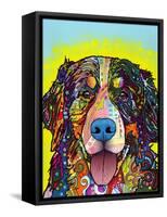 Bernese Mountain Dog-Dean Russo-Framed Stretched Canvas