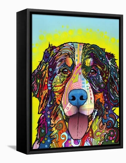 Bernese Mountain Dog-Dean Russo-Framed Stretched Canvas