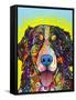 Bernese Mountain Dog-Dean Russo-Framed Stretched Canvas
