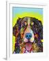 Bernese Mountain Dog-Dean Russo-Framed Giclee Print