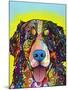 Bernese Mountain Dog-Dean Russo-Mounted Giclee Print