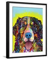 Bernese Mountain Dog-Dean Russo-Framed Giclee Print