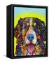 Bernese Mountain Dog-Dean Russo-Framed Stretched Canvas