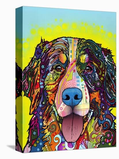 Bernese Mountain Dog-Dean Russo-Stretched Canvas