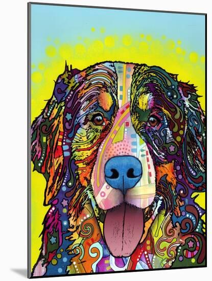 Bernese Mountain Dog-Dean Russo-Mounted Giclee Print