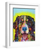 Bernese Mountain Dog-Dean Russo-Framed Giclee Print