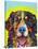 Bernese Mountain Dog-Dean Russo-Stretched Canvas