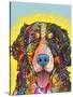 Bernese Mountain Dog-Dean Russo-Stretched Canvas