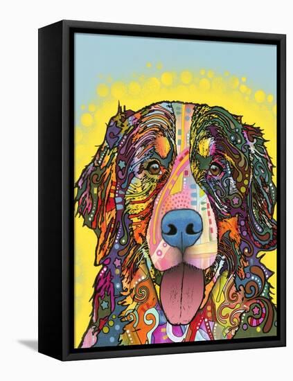 Bernese Mountain Dog-Dean Russo-Framed Stretched Canvas