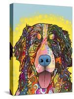Bernese Mountain Dog-Dean Russo-Stretched Canvas