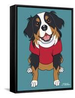 Bernese Mountain Dog-Tomoyo Pitcher-Framed Stretched Canvas