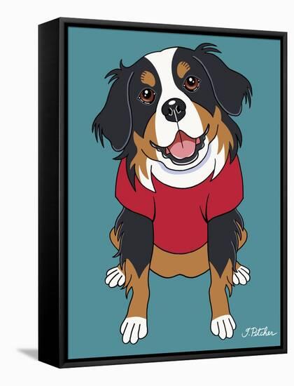 Bernese Mountain Dog-Tomoyo Pitcher-Framed Stretched Canvas