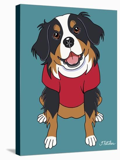 Bernese Mountain Dog-Tomoyo Pitcher-Stretched Canvas