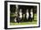 Bernese Mountain Puppy Sitting Next to Three-null-Framed Photographic Print