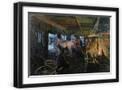Black Frame