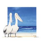 Ready for Summer-Bernie Walsh-Stretched Canvas