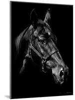 Bernie-Julie Chapman-Mounted Art Print