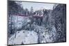 Bernina Express-Marco Carmassi-Mounted Photographic Print