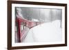 Bernina Railway Line, UNESCO World Heritage Site, Graubunden, Swiss Alps, Switzerland, Europe-Christian Kober-Framed Photographic Print