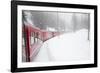 Bernina Railway Line, UNESCO World Heritage Site, Graubunden, Swiss Alps, Switzerland, Europe-Christian Kober-Framed Photographic Print