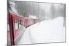 Bernina Railway Line, UNESCO World Heritage Site, Graubunden, Swiss Alps, Switzerland, Europe-Christian Kober-Mounted Photographic Print