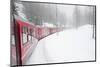 Bernina Railway Line, UNESCO World Heritage Site, Graubunden, Swiss Alps, Switzerland, Europe-Christian Kober-Mounted Photographic Print