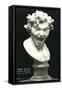 Bernini's Anima Dannata-null-Framed Stretched Canvas