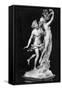 Bernini's Sculpture Apollo and Daphne-null-Framed Stretched Canvas