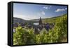 Bernkastel-Kues, Rhineland-Palatinate, Germany, Europe-Ian Trower-Framed Stretched Canvas