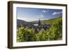 Bernkastel-Kues, Rhineland-Palatinate, Germany, Europe-Ian Trower-Framed Photographic Print