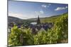 Bernkastel-Kues, Rhineland-Palatinate, Germany, Europe-Ian Trower-Mounted Photographic Print