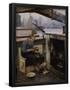 Essential Black