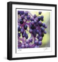 Berries 2-Ken Bremer-Framed Limited Edition