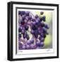 Berries 2-Ken Bremer-Framed Limited Edition