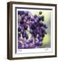 Berries 2-Ken Bremer-Framed Limited Edition