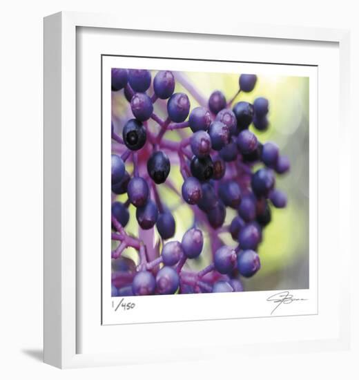 Berries 2-Ken Bremer-Framed Limited Edition