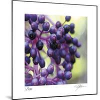 Berries 2-Ken Bremer-Mounted Limited Edition