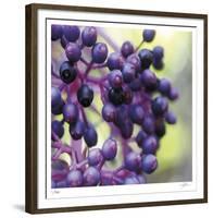 Berries 2-Ken Bremer-Framed Limited Edition