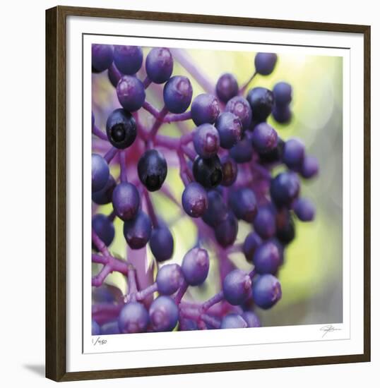 Berries 2-Ken Bremer-Framed Limited Edition